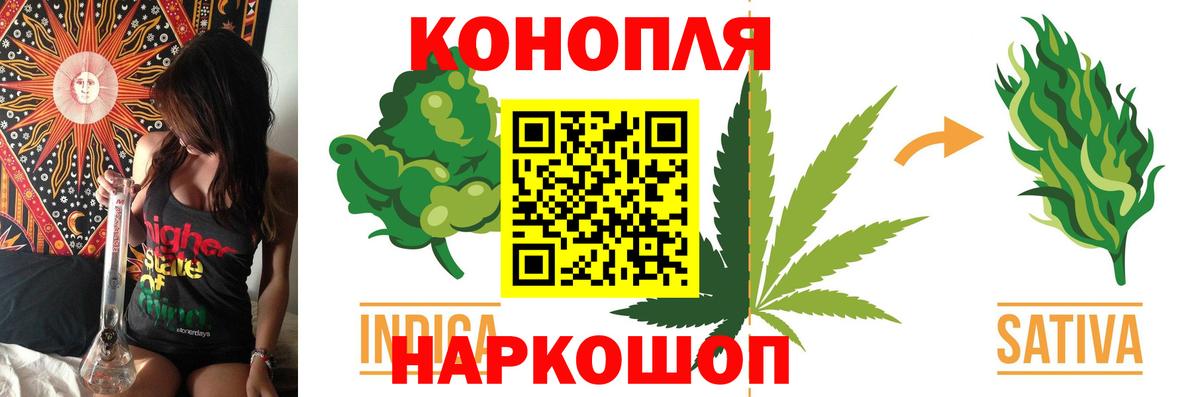 Похвистнево  Канабис OG Kush  Вход с VPN  Бошки марихуана планчик  Бошки Шишки Bruce Banner  Канабис Ganja 